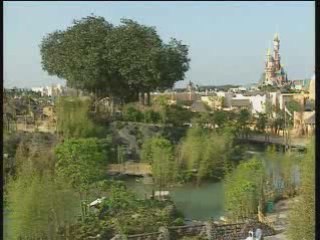 Behind the Scenes of the Swiss Robinson's Cabin Construction 🏡