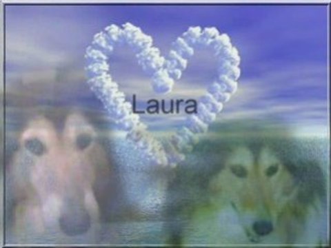mon toutou laura qui est partie au paradis.
