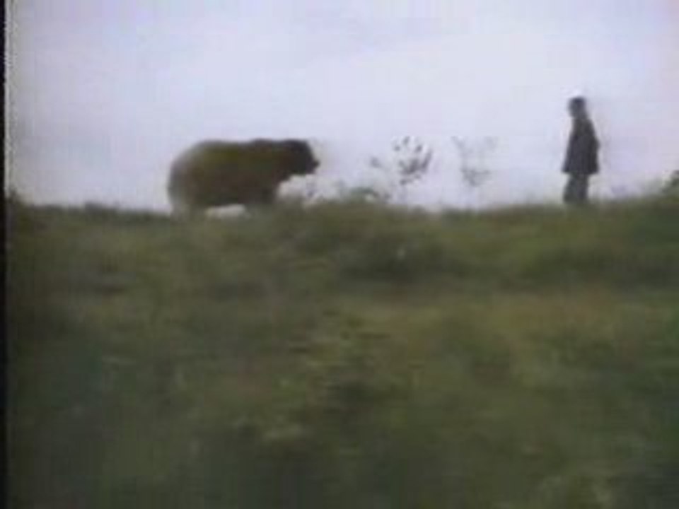 Ronald Reagan TV Ad "The Bear" 1984