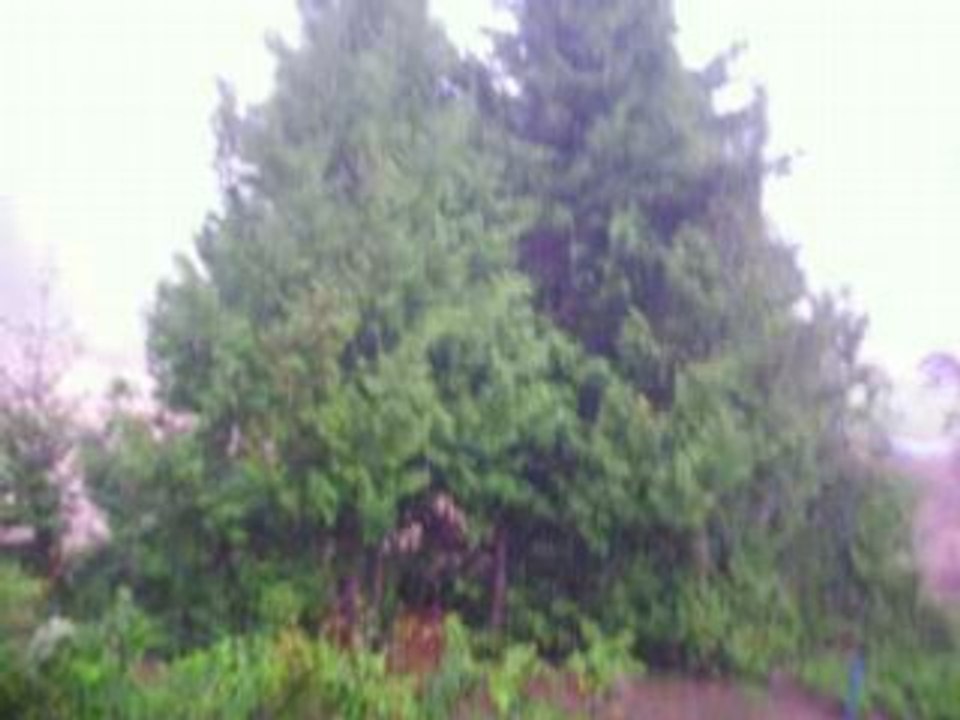 Pluie torrentielles