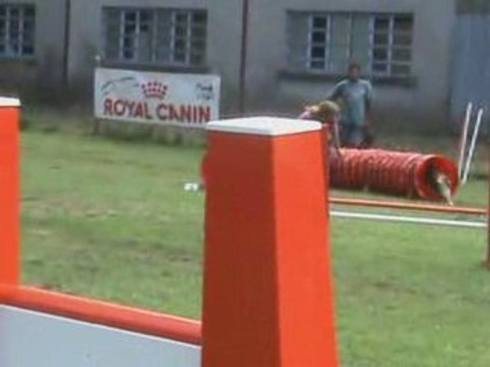 Ophaline concours alkirch