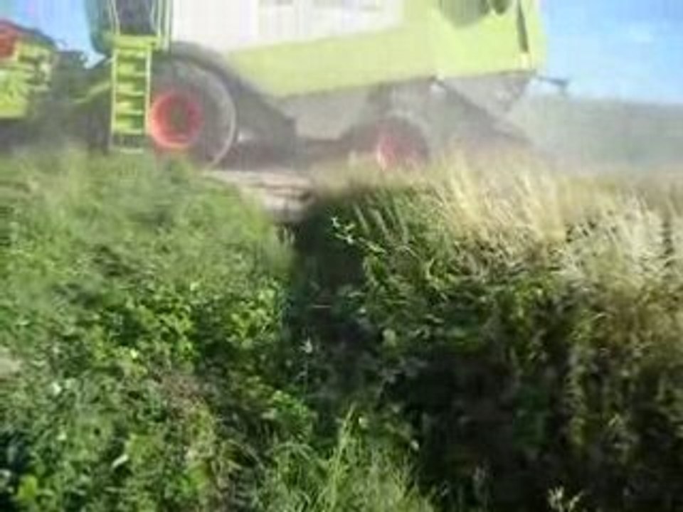 moisson 2008