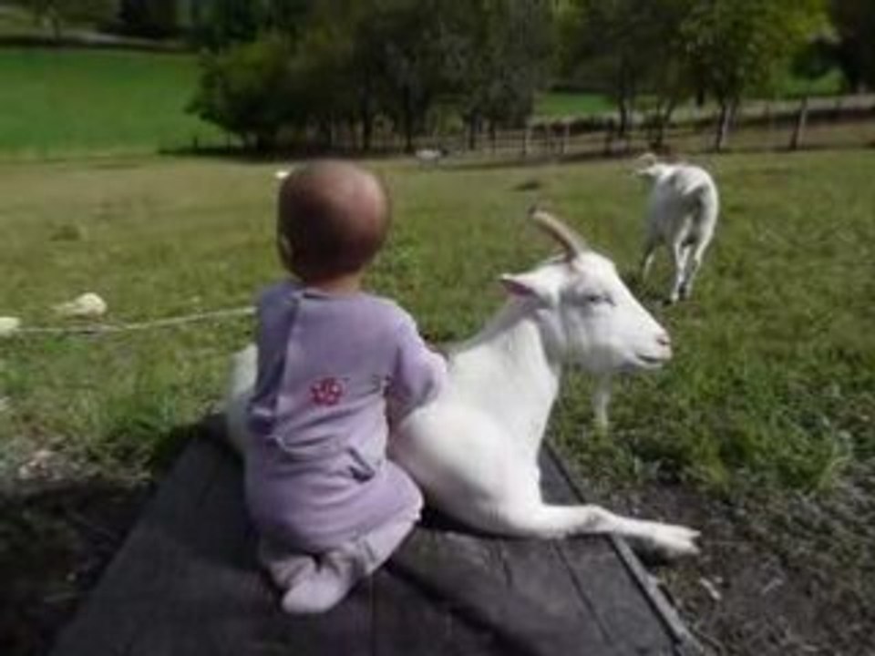 calin