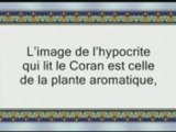 Bienfaits du Coran