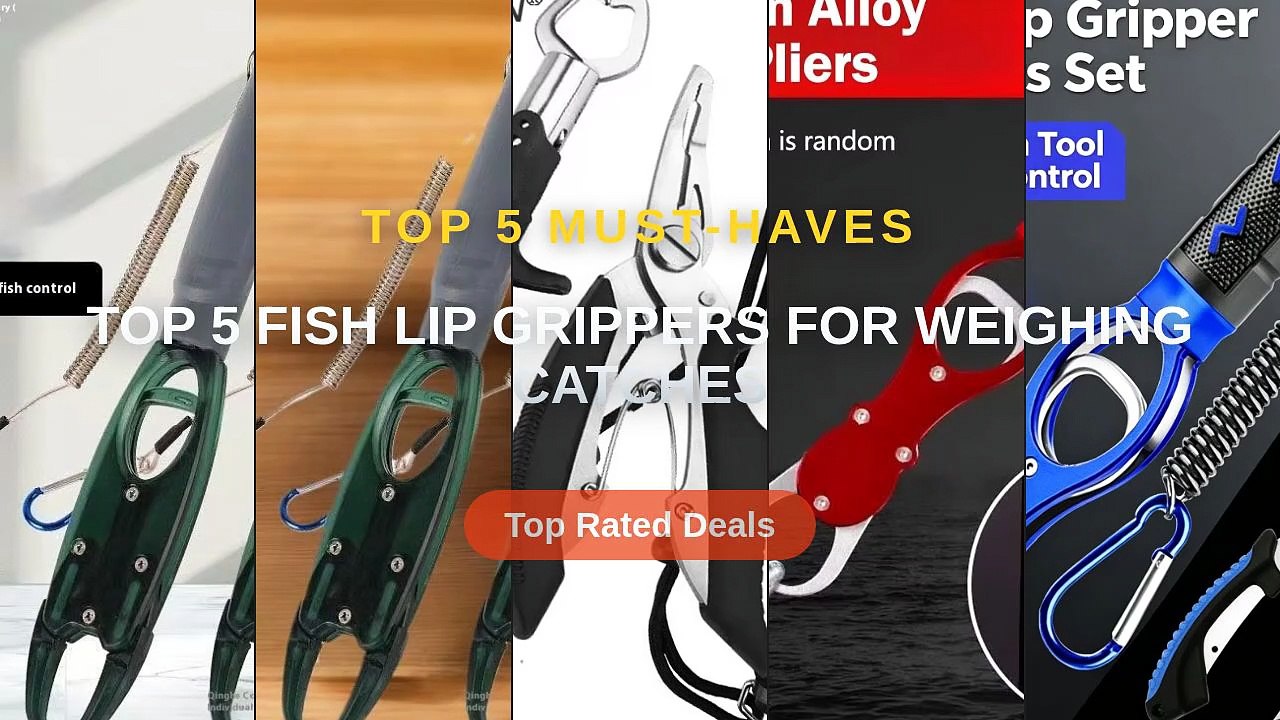 Best Top 5 Fish Lip Grippers For Weighing Catches on AliExpress ...