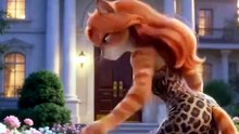 _aicat _kitten _cat _catvideo _cartoonsforkids