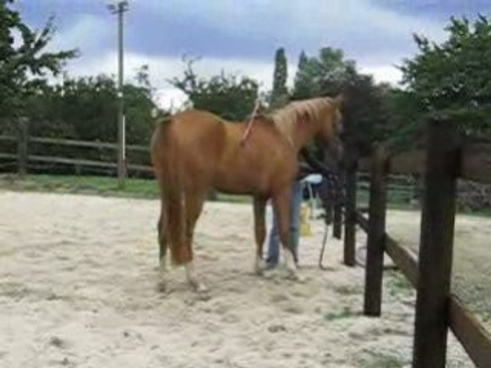 Déplacements latéraux