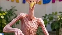 United State animalfunny video_s short video with ♬ original sound - Funny vide0 Clips