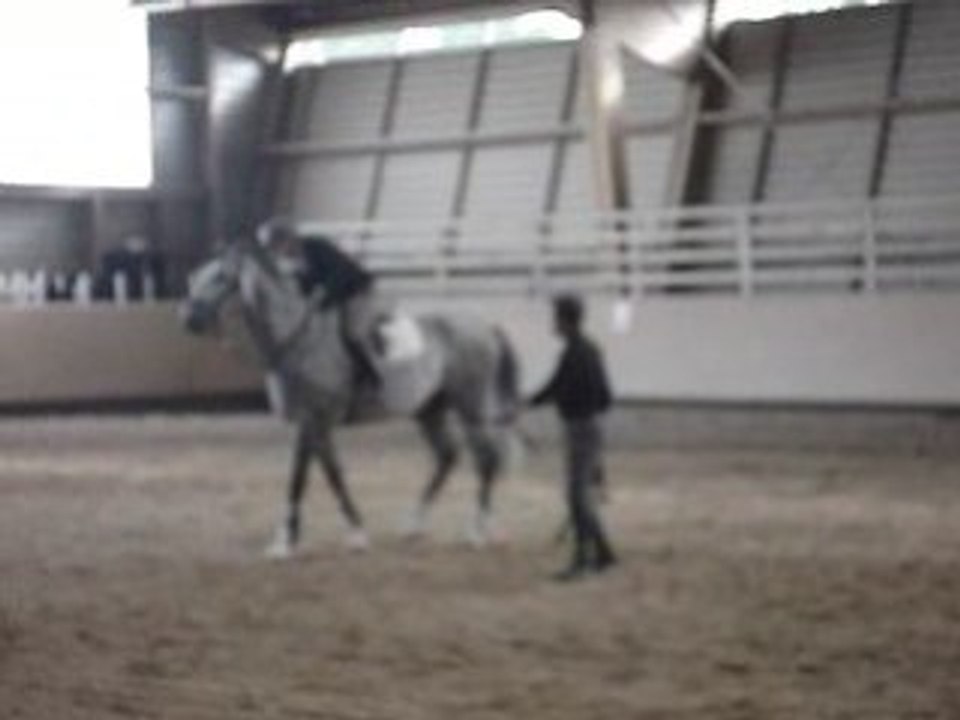 chyvas au débourage9