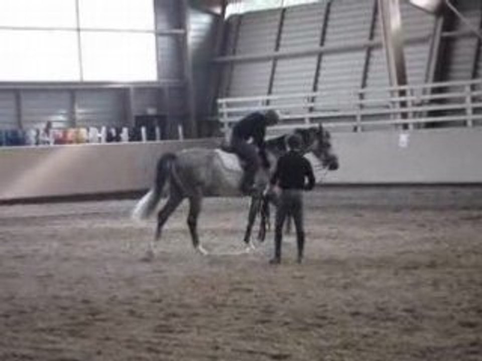 chyvas au débourage12