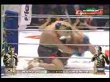 Fedor Emelianenko vs Hong Man Choi