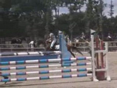 Lamotte Beuvron 2008