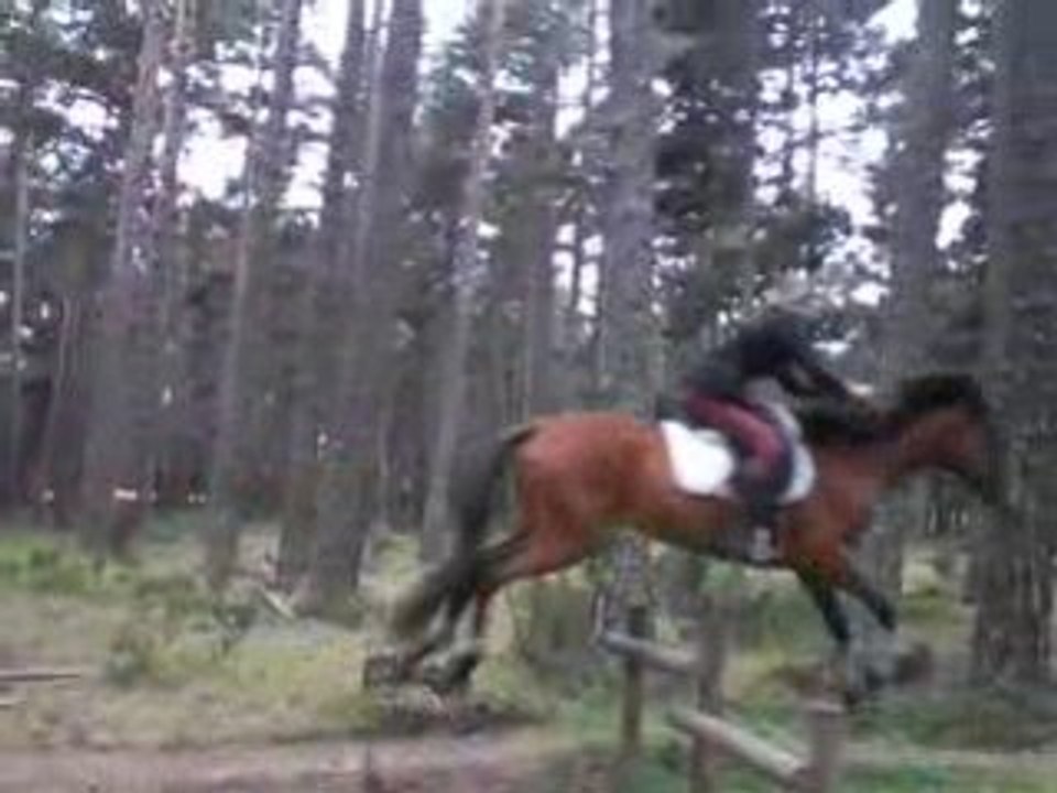 22 aout 08 011