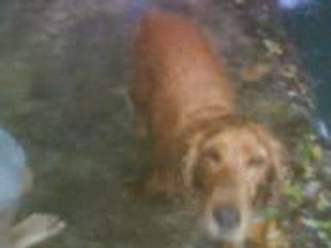 Loïc fait salto au LEZ