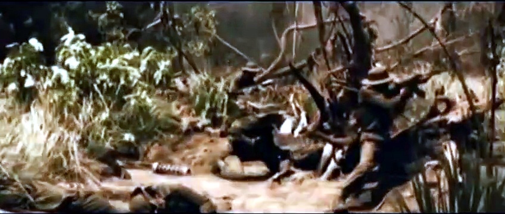 JOHN RAMBO (2008) Trailer - SPANISH [Full Movie] - video Dailymotion