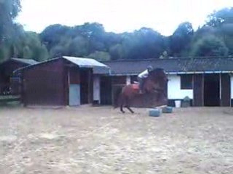 Chevaux 082