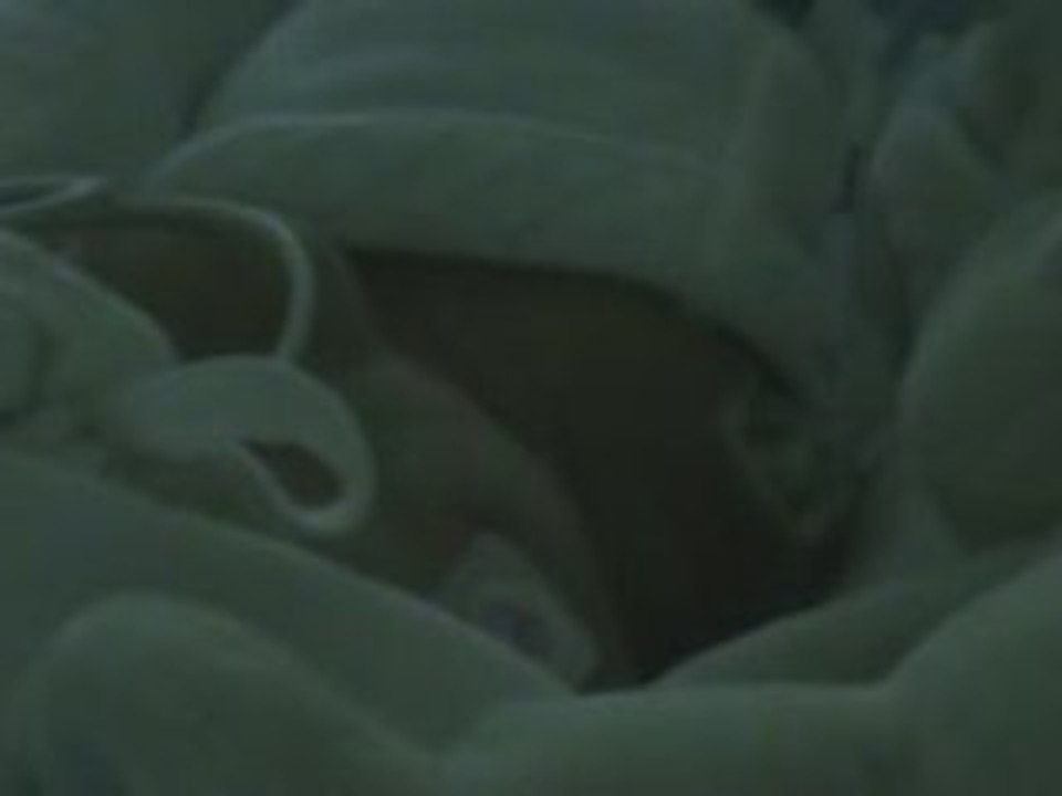 20082008arthur7