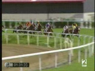2008 (282) Premio Hipodromoa Turf (MR PALMERO -IRE-)
