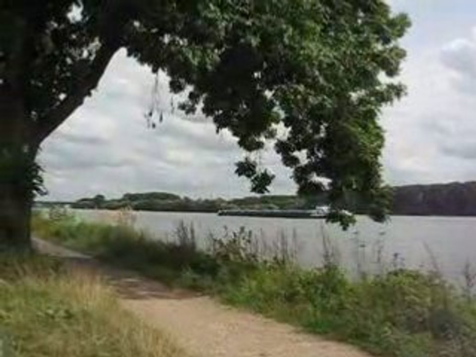 Schiff auf dem Rhein bei Wiesbaden-Schierstein