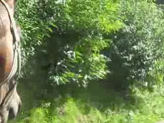 Nyamoko retour au paddock mouvementé !!