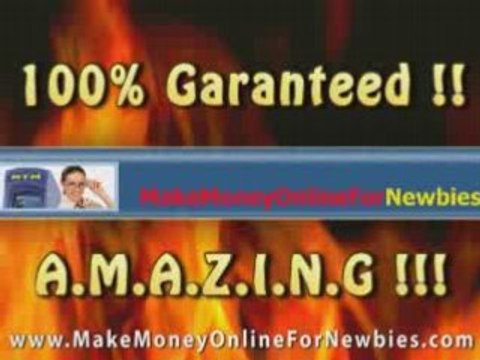 Make Money Online For Newbies (09)