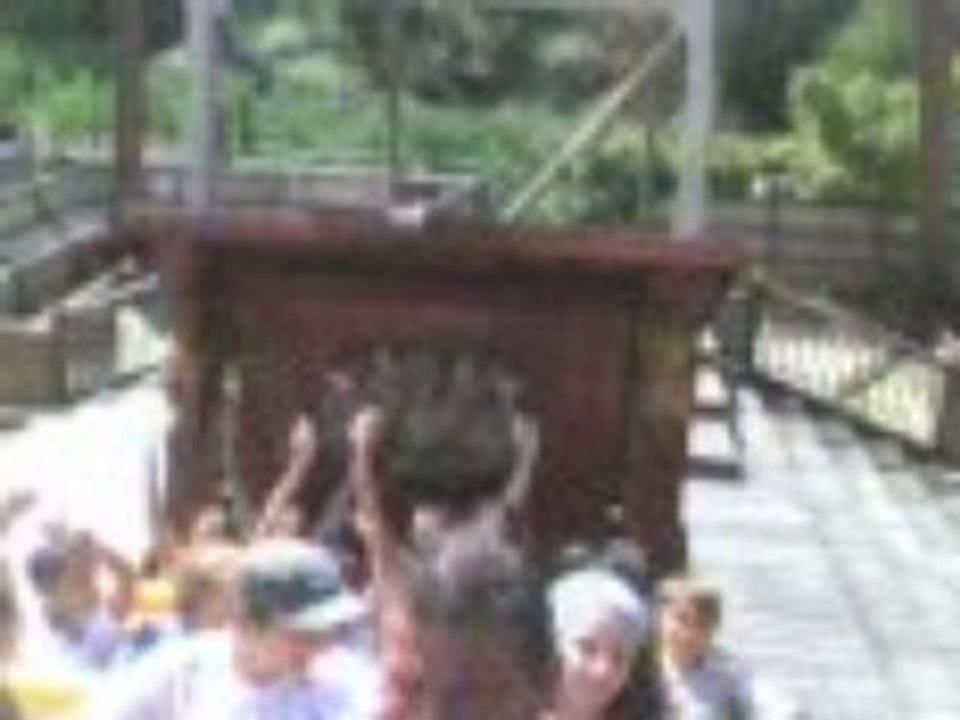 Bateau pirate à Walibi-partie 1