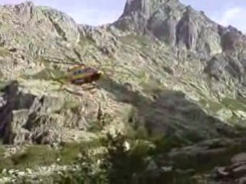 helico melo