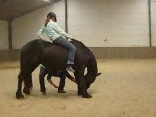 1 révérence monté wééé