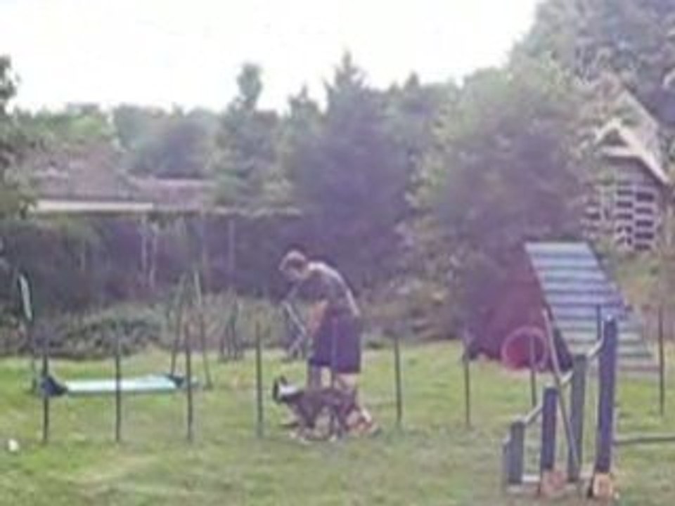 Parcours agility 002