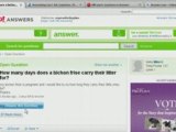 Strategies For Using Yahoo Answers