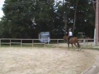 Galop gauche