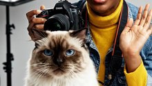 Kucing selalu ikut Selfi