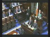 Dail Eireann Debate Part 1 (Voice Over)