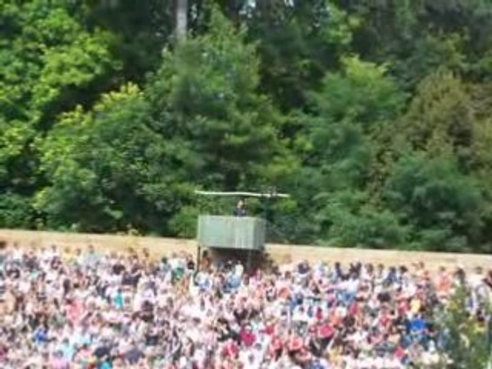 Le Pigargue à tête blanche