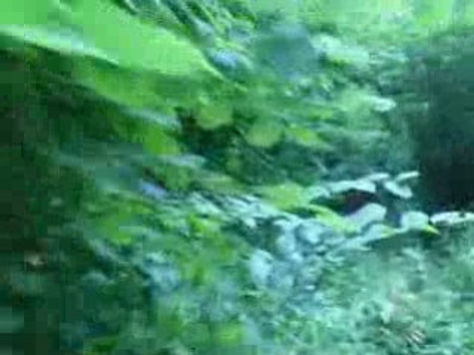 Jura 01