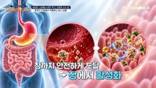 속이 더부룩하고 체한 느낌이 든다면?! '효소' 보충이 필요하다!