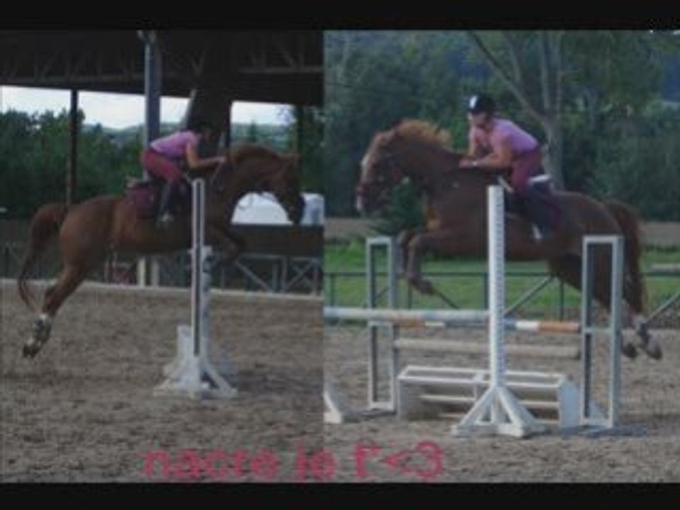 Laize 2008_0001