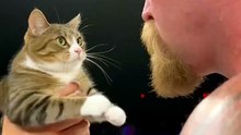 He fight with cat 🤔