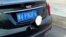 Fun Fox Tail Ornament for Scooters & EVs Sways to Your Voice!🦊