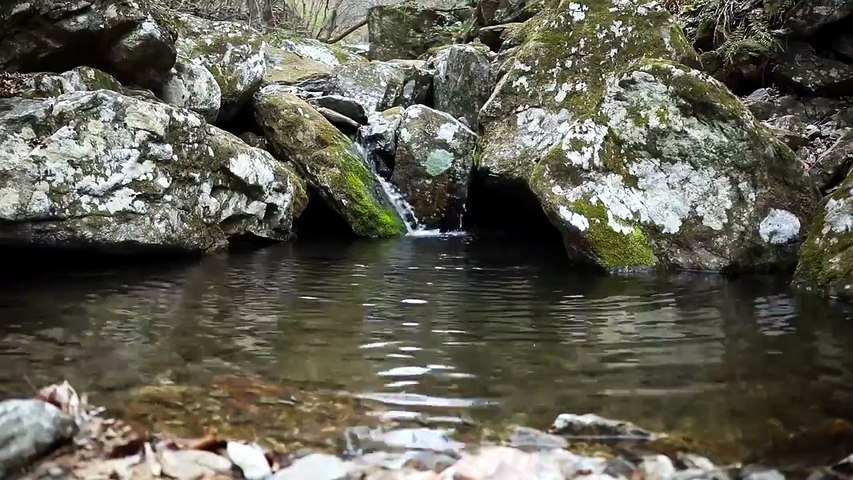 Petit Ruisseau, Grande Sérénité 🌿 _ Relaxation & Nature