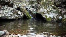 Petit Ruisseau, Grande Sérénité 🌿 _ Relaxation & Nature