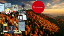 The Founder Mihaela Plesca Of The Neurodesign Company With Its Awards