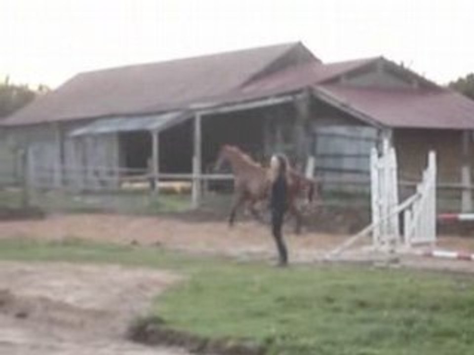 MOV01158