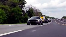 Dodge Challenger Hellcat Rolling Deep on the Highway – Pure American Muscle! 🐺🏎️💨
