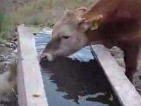 ÖZLÜCE KÖYÜ SU KANALI YAPIMI (2008)