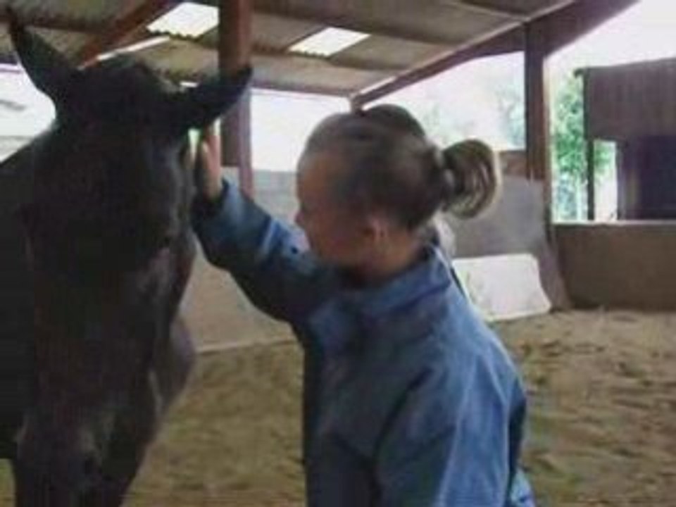 Ananas au galop