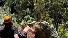That tree came out of nowhere 😭