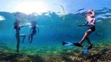 insta360 x4 underwater video test 8k, down sampled to 4k