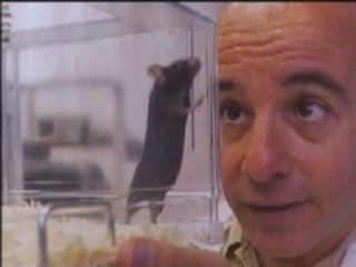 André Gernez, le protocole contre le cancer