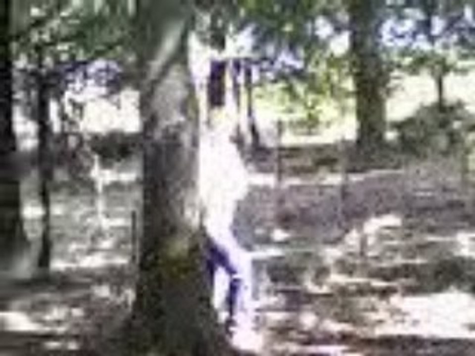 Vidéo-0001